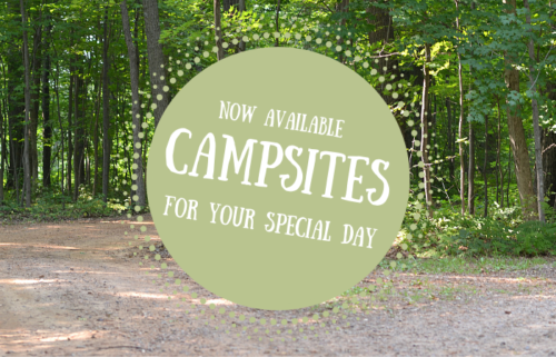 Campsites at Dixon’s are now available