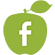 Facebook Apple Icon