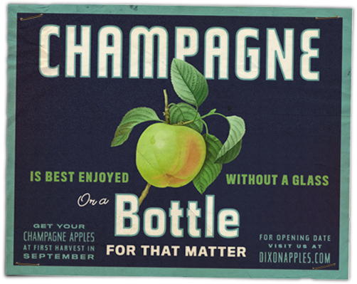 Dixon's Champagne Apples