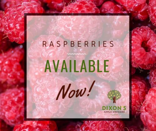 Raspberries available